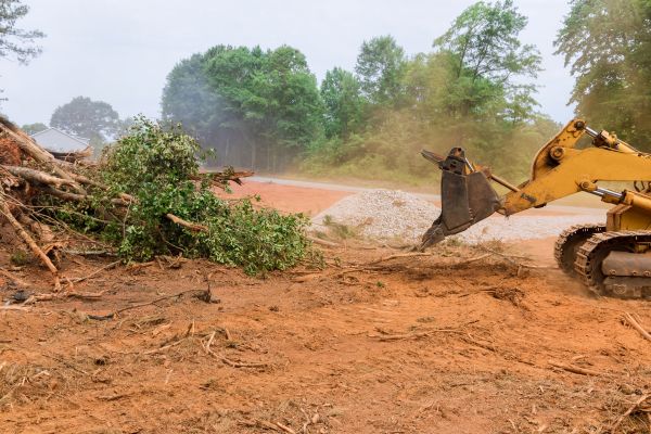 Ground Clearing in Pearland