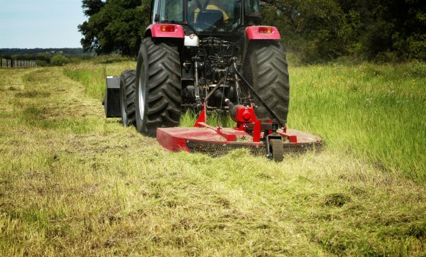 Brush Clearing Service in Pearland