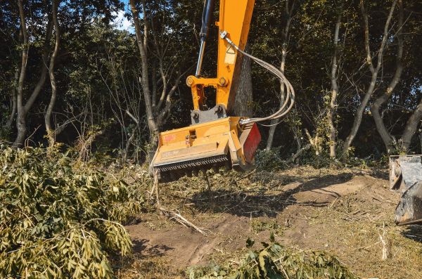 Brush Removal Service in Pearland