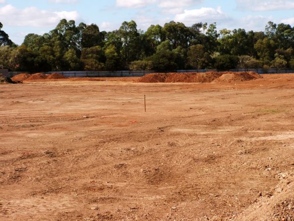 Cost of Field Clearing in Pearland