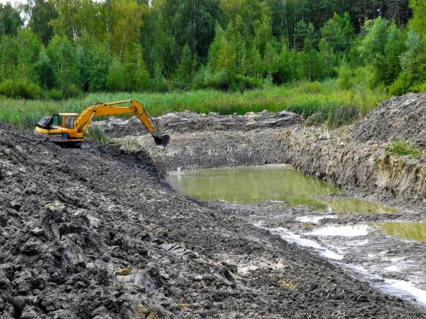 Cost of Lake Lot Clearing in Pearland