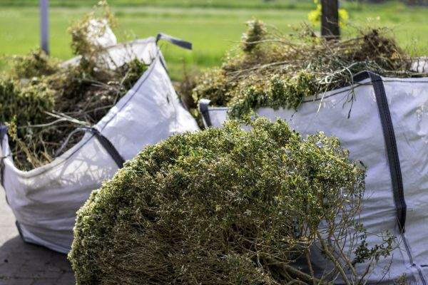 Bushes Clearing in Pearland