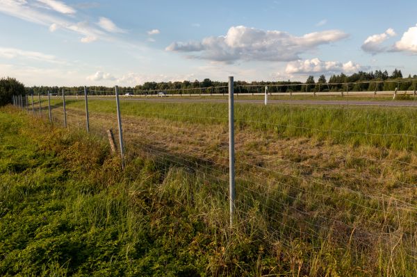 Cost of Property Line Clearing in Pearland