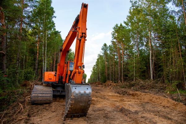 Cost of Backhoe Land Clearing in Pearland