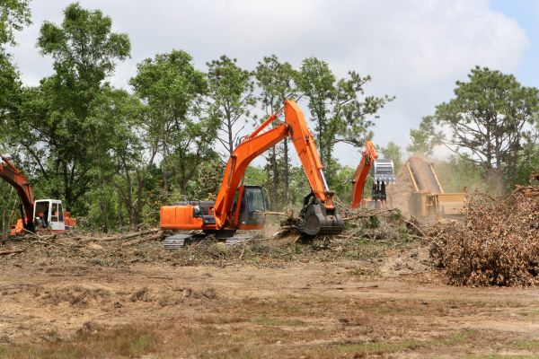 Cost of Commercial Lot Clearing in Pearland