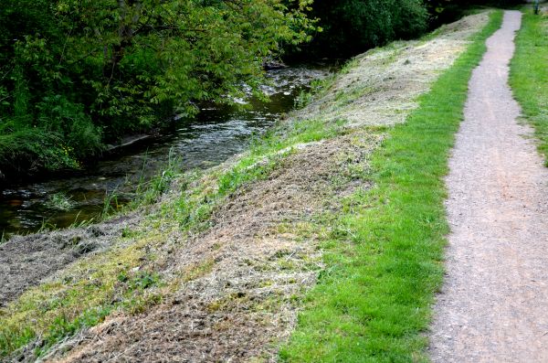 Cost of Trail Cutting in Pearland